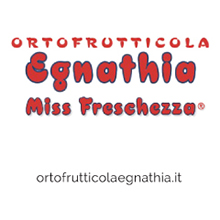 Egnathia